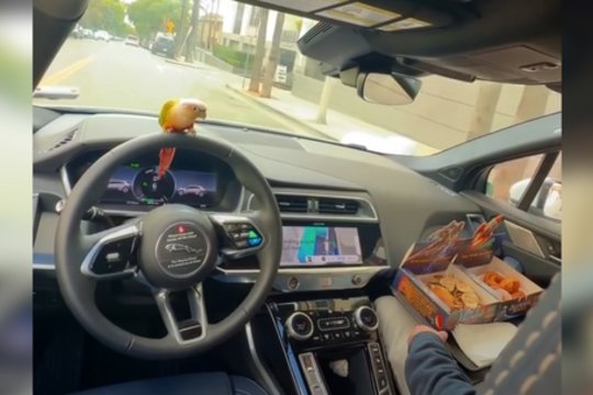 ​Gatvėje pamačius tokį vairuotoją tektų sprukti kuo toliau: stebina vienas faktas