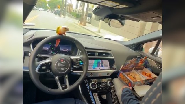 ​Gatvėje pamačius tokį vairuotoją tektų sprukti kuo toliau: stebina vienas faktas