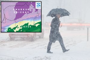 Iš tarnybos – rimtas įspėjimas: orai Lietuvą padalins į dvi dalis, kai kur gali net lūžti medžių šakos