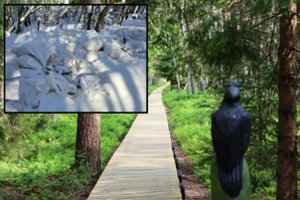 Vos keli žingsniai nuo lietuvių pamėgtos vietos – nemalonus vaizdas: toks atvejis ne pirmas