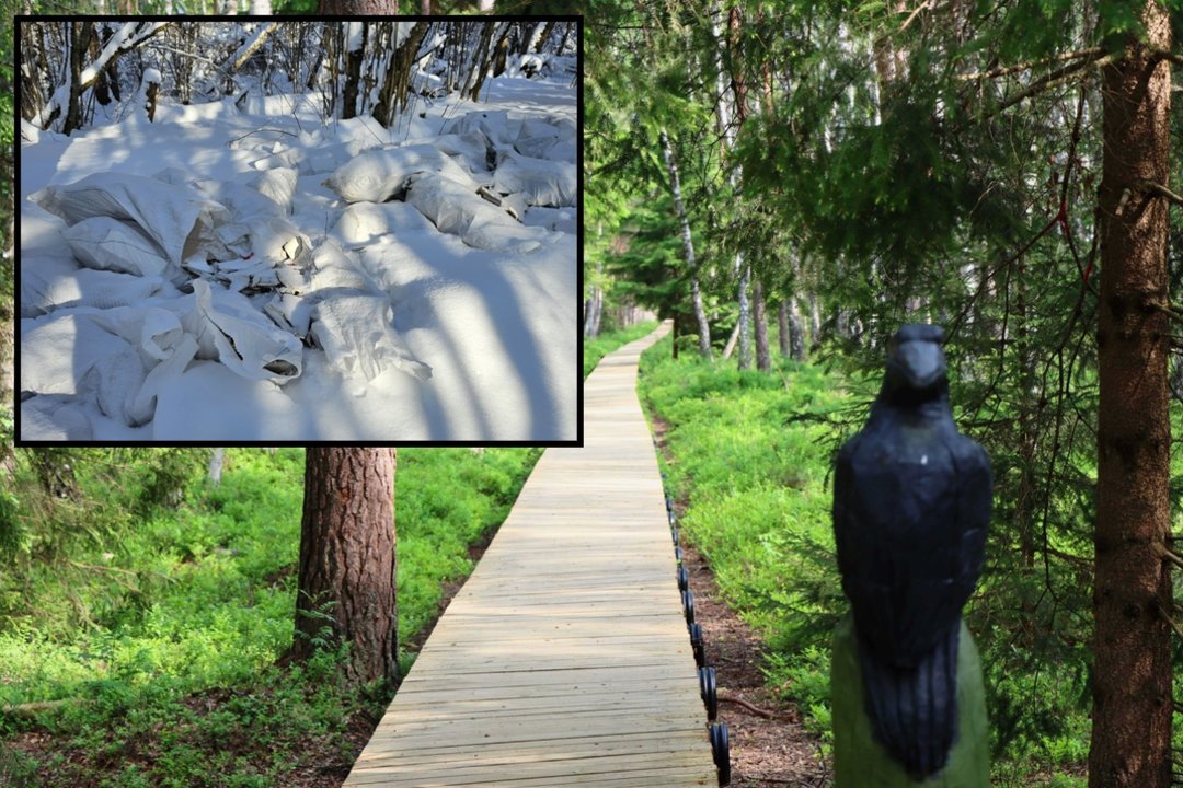 Vos keli žingsniai nuo lietuvių pamėgtos vietos – nemalonus vaizdas: toks atvejis ne pirmas