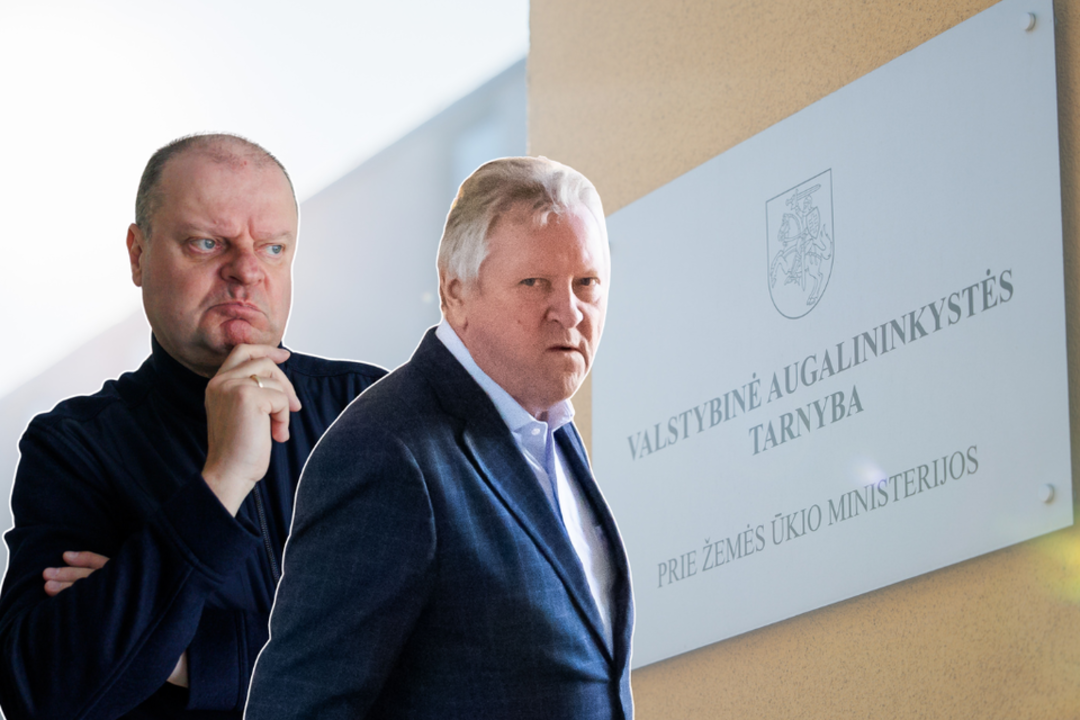 „Čia yra tiesiog džiazas, čia – ne teisė“: baudžiamosios teisės ekspertą nustebino prokuroro žodžiai