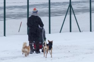Po motinystės atostogų iš darbdavio – šaltas dušas: „Nenoriu jaustis kalta dėl to, kas man priklauso“ 