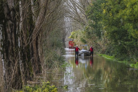 Pietų Prancūziją nusiaubė audra: guldė medžius, be elektros paliko beveik 0,5 mln. namų