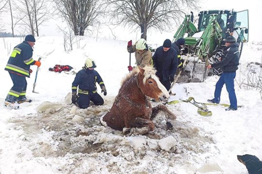 Šilalės rajone ugniagesiai padėjo iš kanalo ištraukti ten įstrigusį arklį