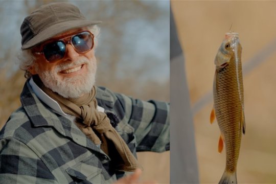 „Šiandien kimba“. Gaudome karšius