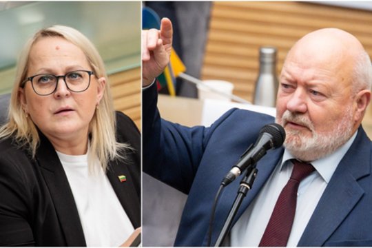 L. Girskienės „Facebook“ įrašą laiko patyčiomis ir įspėja dėl pasekmių: pasišaipymams yra viena vieta