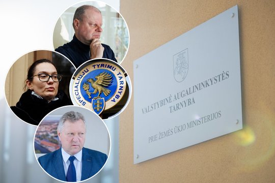 Kratos politikų kabinetuose, apsilankymai STT ir spektaklį priminusi apklausa: viskas, ką žinome iki šiol