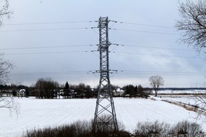 Tragedija Kretingos rajone: šalindamas gedimą žuvo jaunas elektros tinklų darbuotojas