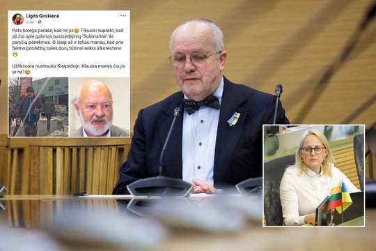 Į skandalingą L. Girskienės įrašą sureagavo J. Olekas
