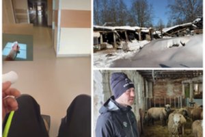 P. Šiaučiūno ūkyje – skaudi nelaimė: įgriuvo tvarto stogas, medikų pagalbos prireikė ir pačiam vyrui