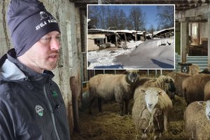 Po užgriuvusių nesėkmių prakalbo Petras Šiaučiūnas: dėl ūkio ateities turi dvejopų minčių