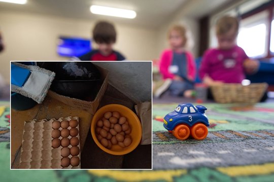 VMVT atliko patikrinimą Klaipėdos lopšelyje-darželyje: rūsyje – nepateisinami radiniai