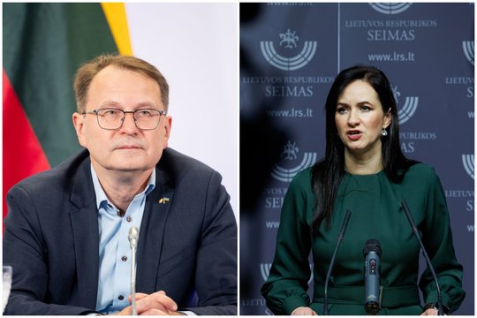 D. Žalimas apie I. Ruginienės pasisakymus dėl Taivano ir Kinijos: jei taip toliau, Lietuvai bus gėda