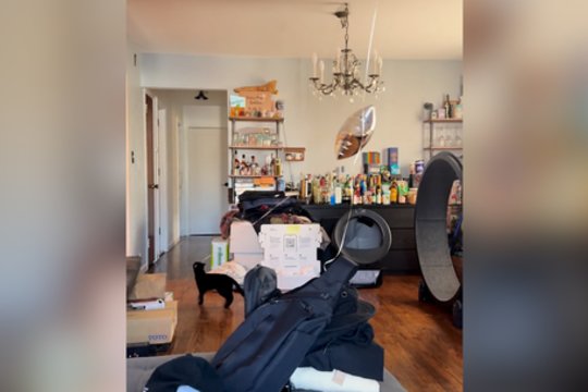 ​Ponas balionas: su tokiu aksesuaru katinas net ir kieme nepasimestų