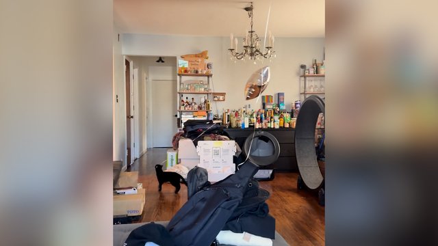 ​Ponas balionas: su tokiu aksesuaru katinas net ir kieme nepasimestų