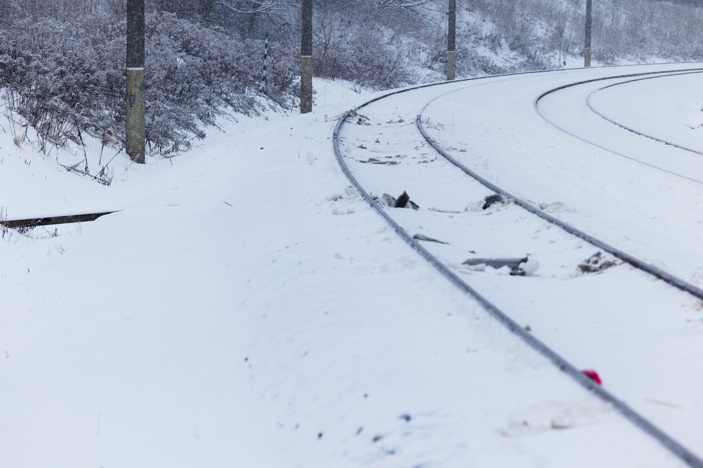 Susisiekimą geležinkeliais Lietuvoje administruojanti LTG grupė planuoja aktyviai bendradarbiauti su Lietuvoje besiplečiančiu gynybos pramonės sektoriumi ir tiesti atskirą vėžę iki Rūdninkų poligono, teigia LTG vadovai.<br>T.Bauro nuotr.