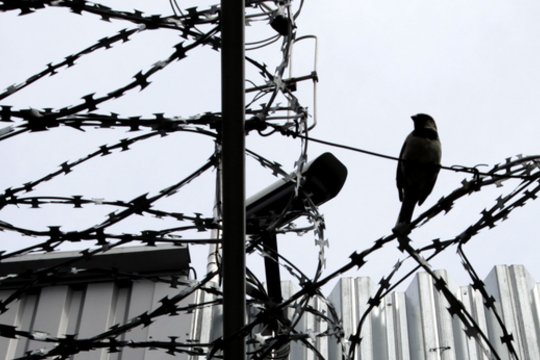 Nelegalius migrantus gabenęs kaunietis liks už grotų ilgeniam laikui