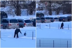 Po smurto prieš šunį Jurbarke – naujausia policijos informacija