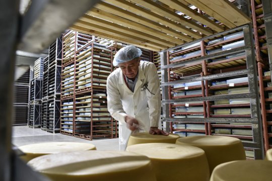 Bankrutuoja didžiausia Estijos sūrio gamintoja: susikaupė milžiniška skola