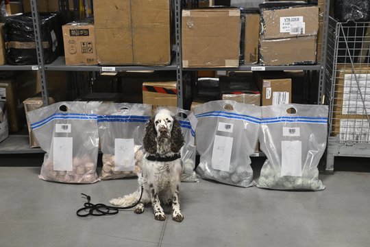 Keturkojei muitinės pareigūnei Jogai – maišai eurų: tai neįkainojama Lietuvos banko dovana