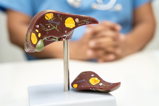 Retos kepenų ligos: kodėl nebūna simptomų?