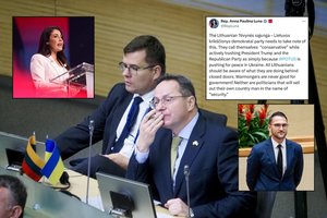 K. Neimanto ir Ž. Pavilionio konfliktas pasiekė JAV: soc. tinkle – kontroversiškai vertinamos kongresmenės įsiūtis
