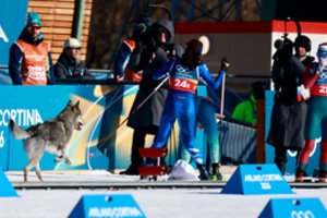 Olimpiadoje – netikėtas rungties „dalyvis“: šuo vijosi ir kamerą, ir sportininkus