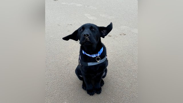 Prieš vėją nepakovosi: pamatykite, kaip tai atrodo realybėje