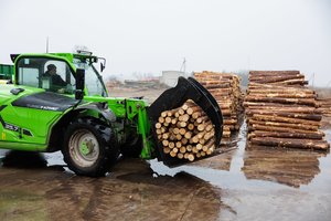 Kaimynai savo kirtimus riboja, užtat šluoja mūsų medieną: įsigyti sunku, o kaina – didžiulė