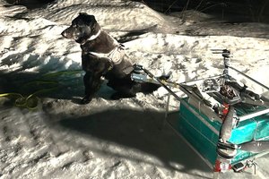 Prie Baltarusijos sienos perimtas dronas su cigaretėmis, sulaikyti trys įtariamieji