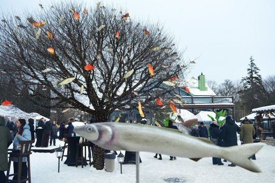 Žiema džiugina stintų žvejus – po 8 metų susibūrė ant Kuršių marių: pasidalijo pagautu laimikiu 