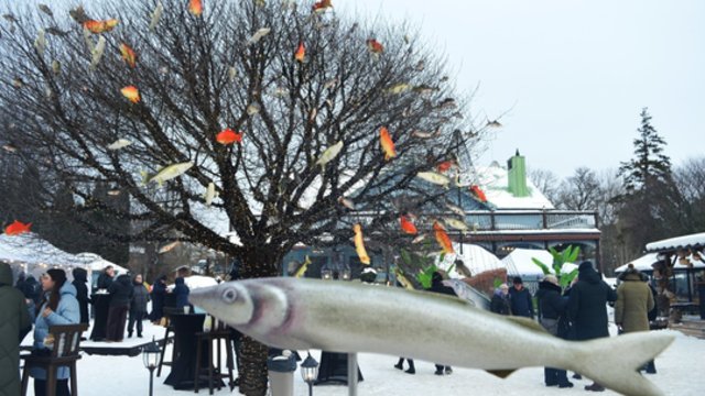 Žiema džiugina stintų žvejus – po 8 metų susibūrė ant Kuršių marių: pasidalijo pagautu laimikiu 