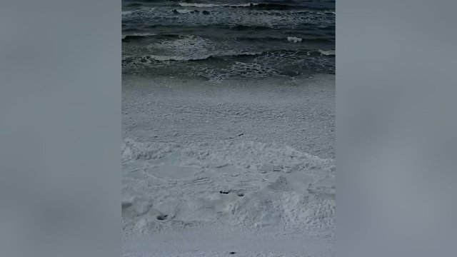 Tokį vaizdą pajūryje ne kasdien išvysi: skaitytoja pasidalijo kerinčiais kadrais