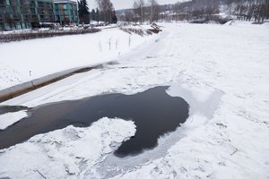 Vilniuje šiemet pradedamas Neries pakrančių atnaujinimas: planuojami 5 nauji tiltai