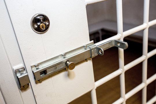 Pretenzijas dėl užsienyje dingusių daiktų reiškęs vyras Vilniuje sužalojo policininką