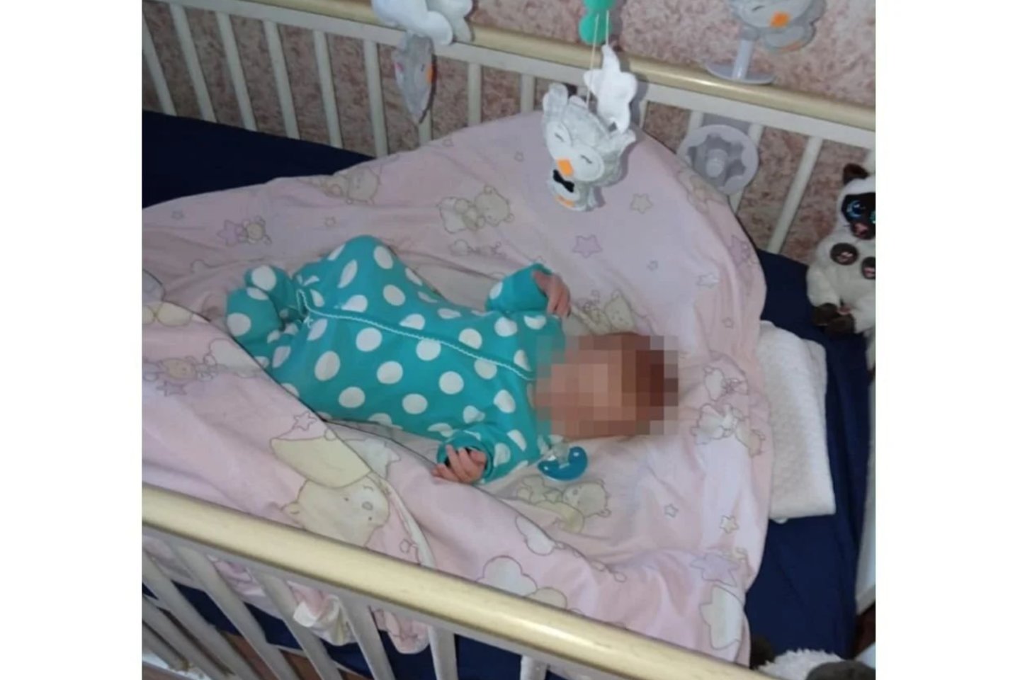 A. a. Danielius – kelios dienos prieš mirtį.<br>Mamos pasidalinta nuotr.