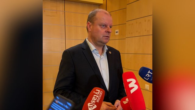 S. Skvernelis ir toliau vadovaus demokratams: „Jokių neteisetų veiksmų nepadariau“