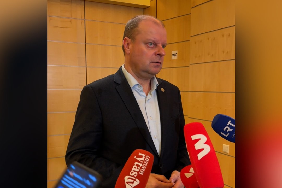 S. Skvernelis ir toliau vadovaus demokratams: „Jokių neteisetų veiksmų nepadariau“