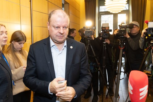 Demokratų susitikimas – be didesnių fejerverkų: S. Skvernelio klausimas uždarytas