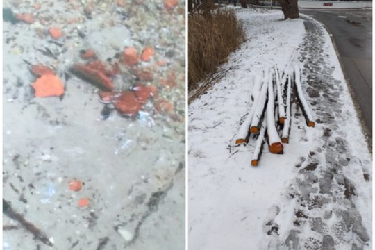 „Štai, kaip atrodo“: Lentvario gyventojai niršta ne tik dėl šaligatvius nuklojusio sniego