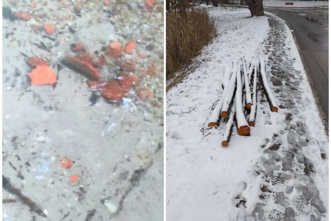 „Štai, kaip atrodo“: Lentvario gyventojai niršta ne tik dėl šaligatvius nuklojusio sniego