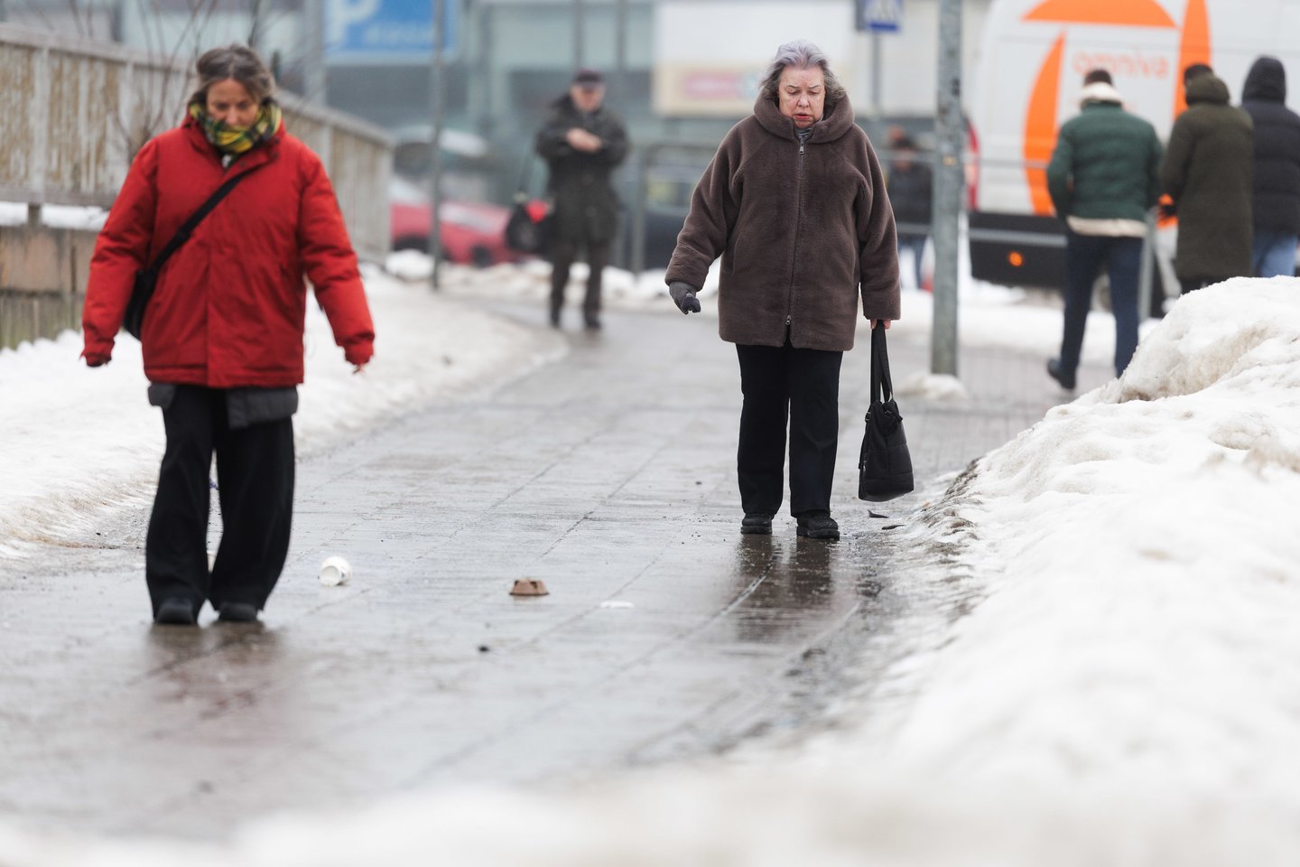 Plikledis Vilniuje.<br> V. Skaraičio nuotr.