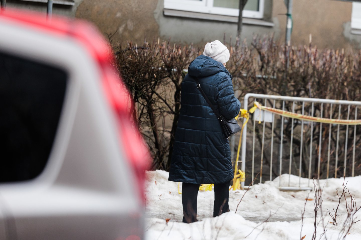 Plikledis Vilniuje.<br> V. Skaraičio nuotr.