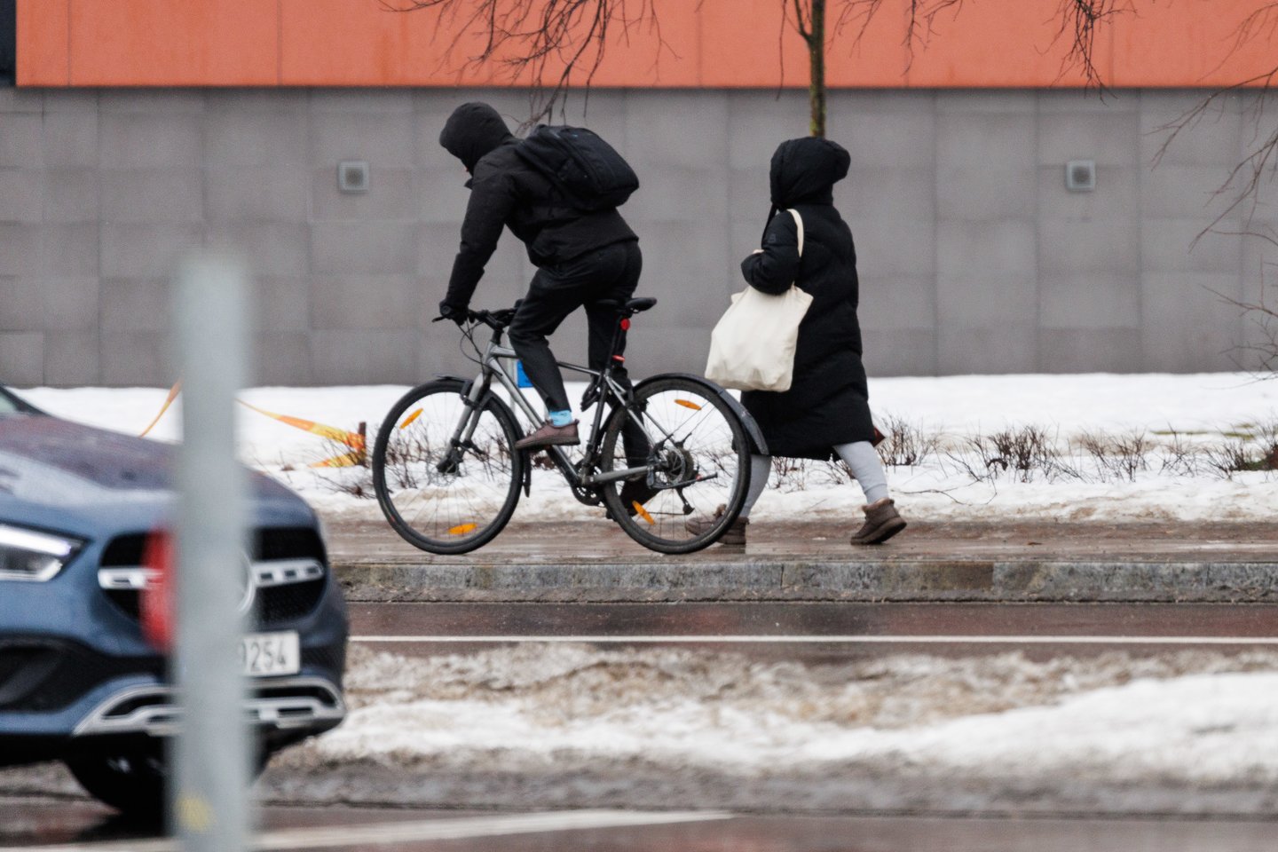 Plikledis Vilniuje.<br> V. Skaraičio nuotr.