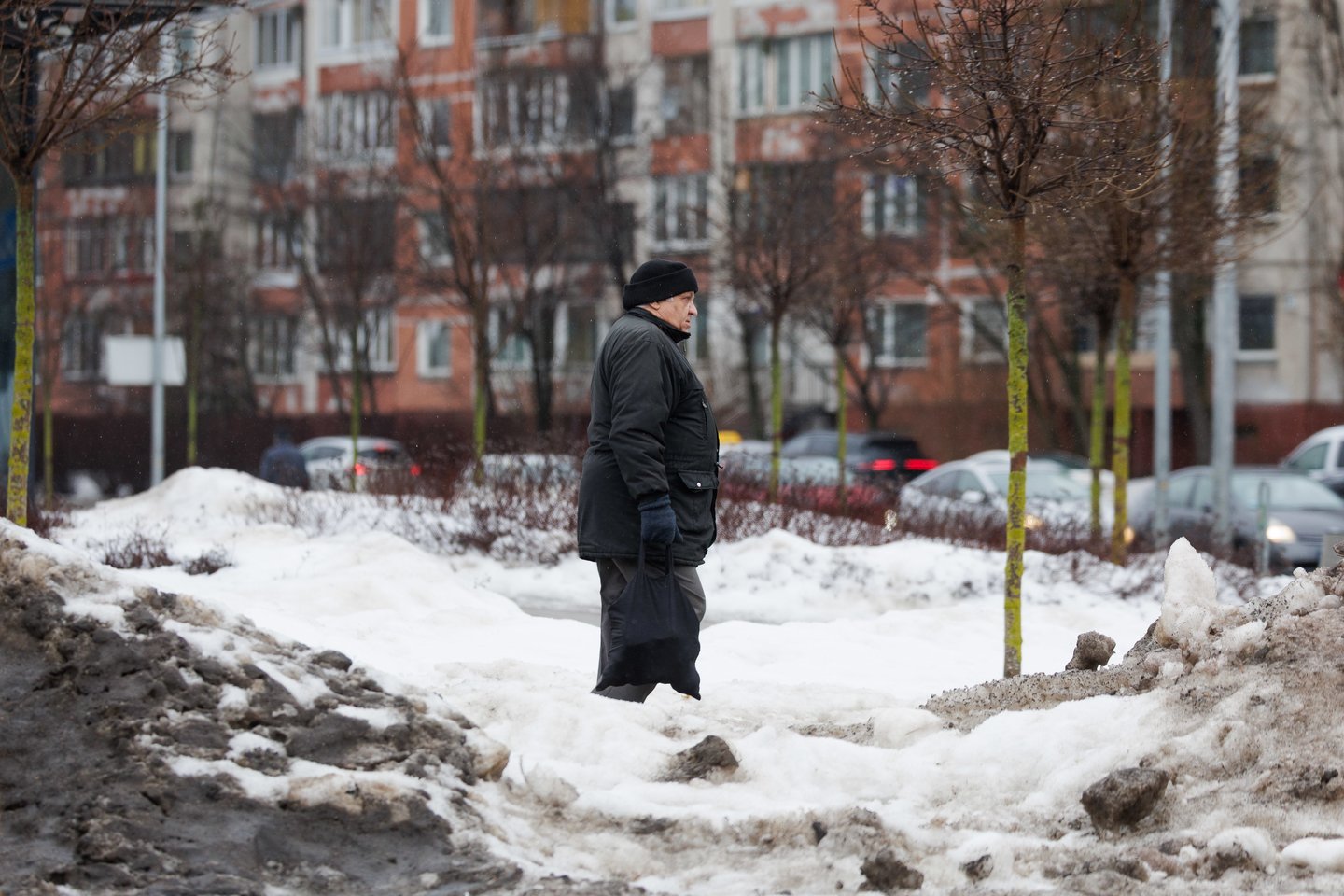 Plikledis Vilniuje.<br> V. Skaraičio nuotr.