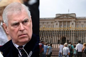 Aiškėja, ką buvęs princas Andrew veikė už Bakingamo rūmų sienų: intymaus masažo paslaugas apmokėjo karališkoji šeima