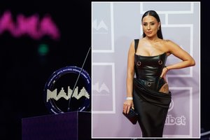 Vasha prabilo apie incidentą M.A.M.A. dūzgėse: žinomos grupės narys pasiuntė ją ir vyrą