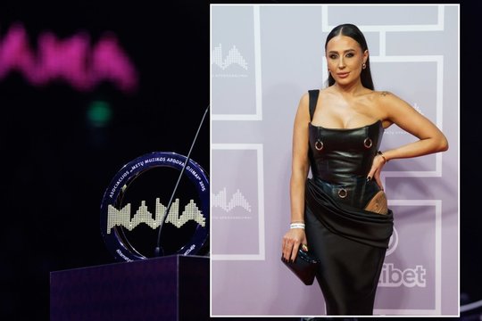 Vasha prabilo apie incidentą M.A.M.A. dūzgėse: žinomos grupės narys pasiuntė ją ir vyrą