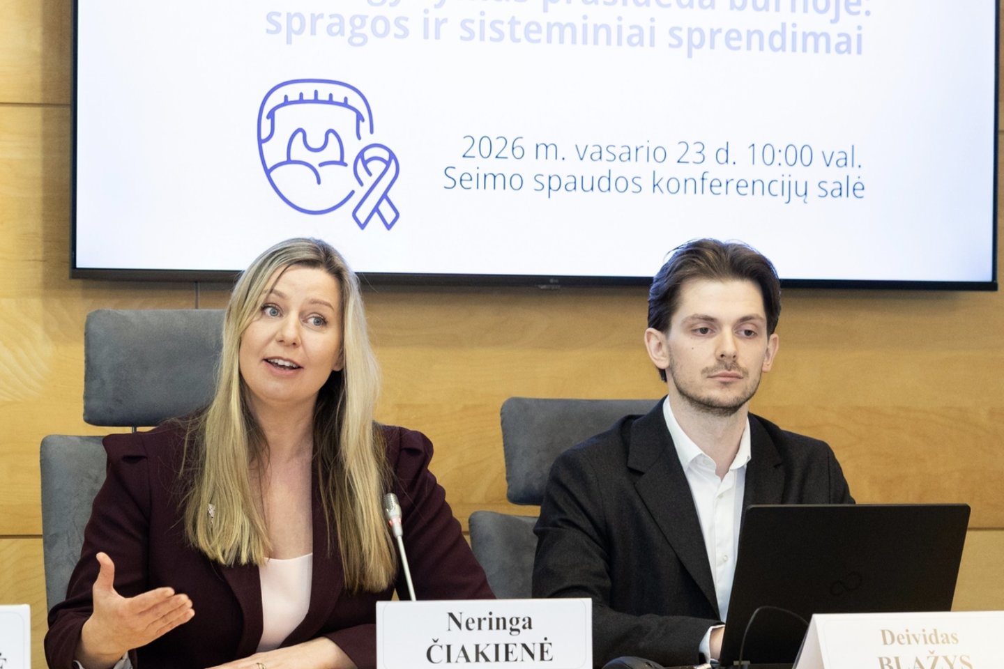 Spaudos konferencija Seime.<br>V. Chornos nuotr